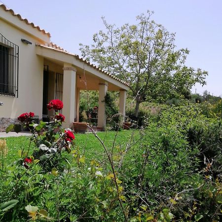 S'Orrosa Casa Vacanze Bifamiliare In Montagna Panorama Stupendo Sardegna Seùlo Extérieur photo