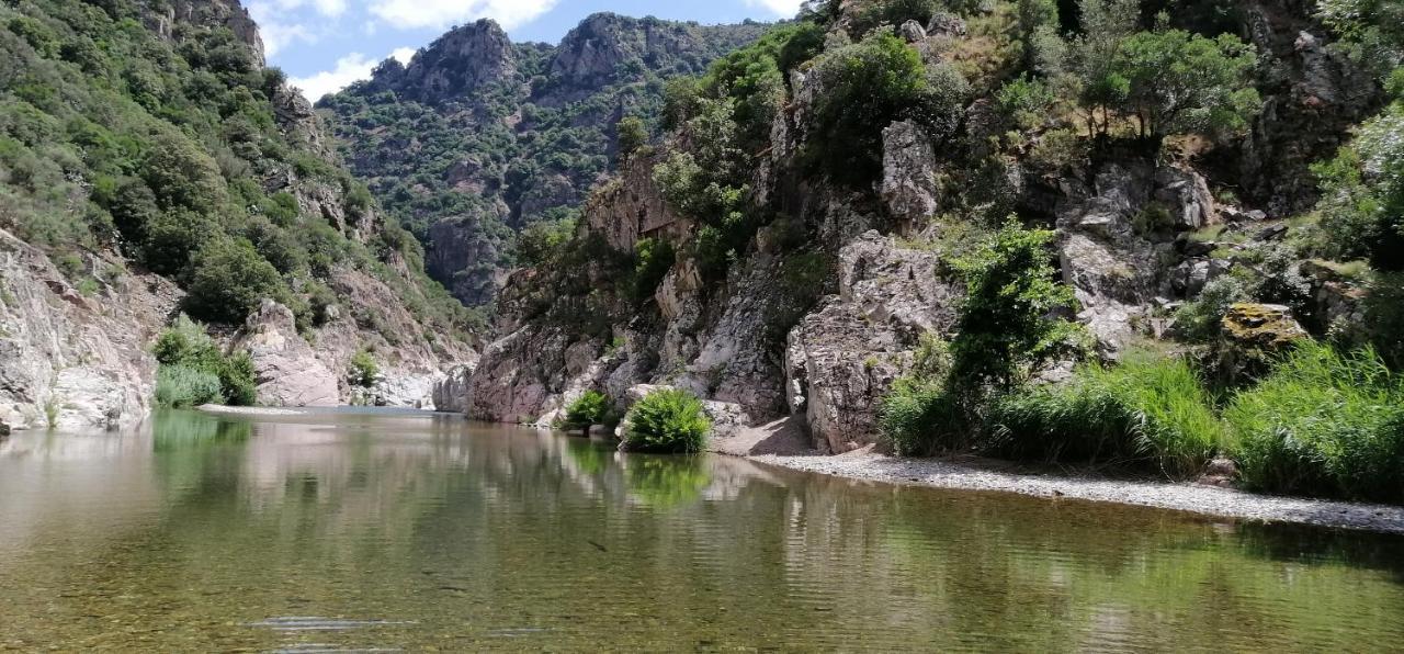 S'Orrosa Casa Vacanze Bifamiliare In Montagna Panorama Stupendo Sardegna Seùlo Extérieur photo