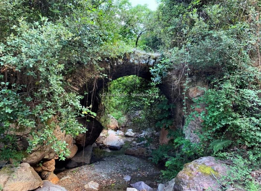 S'Orrosa Casa Vacanze Bifamiliare In Montagna Panorama Stupendo Sardegna Seùlo Extérieur photo