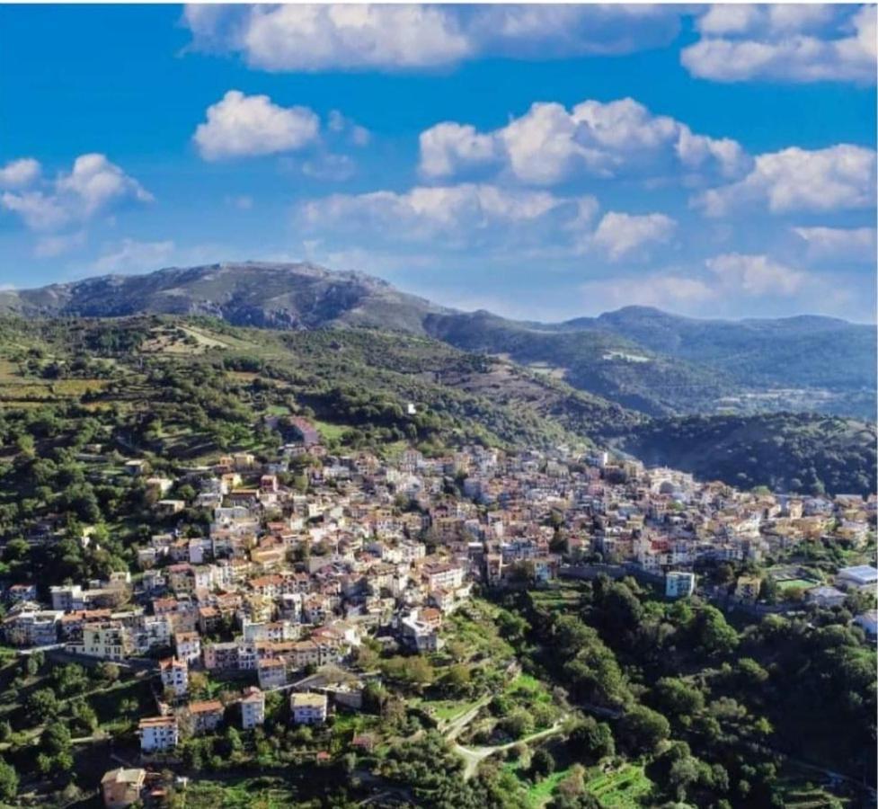 S'Orrosa Casa Vacanze Bifamiliare In Montagna Panorama Stupendo Sardegna Seùlo Extérieur photo