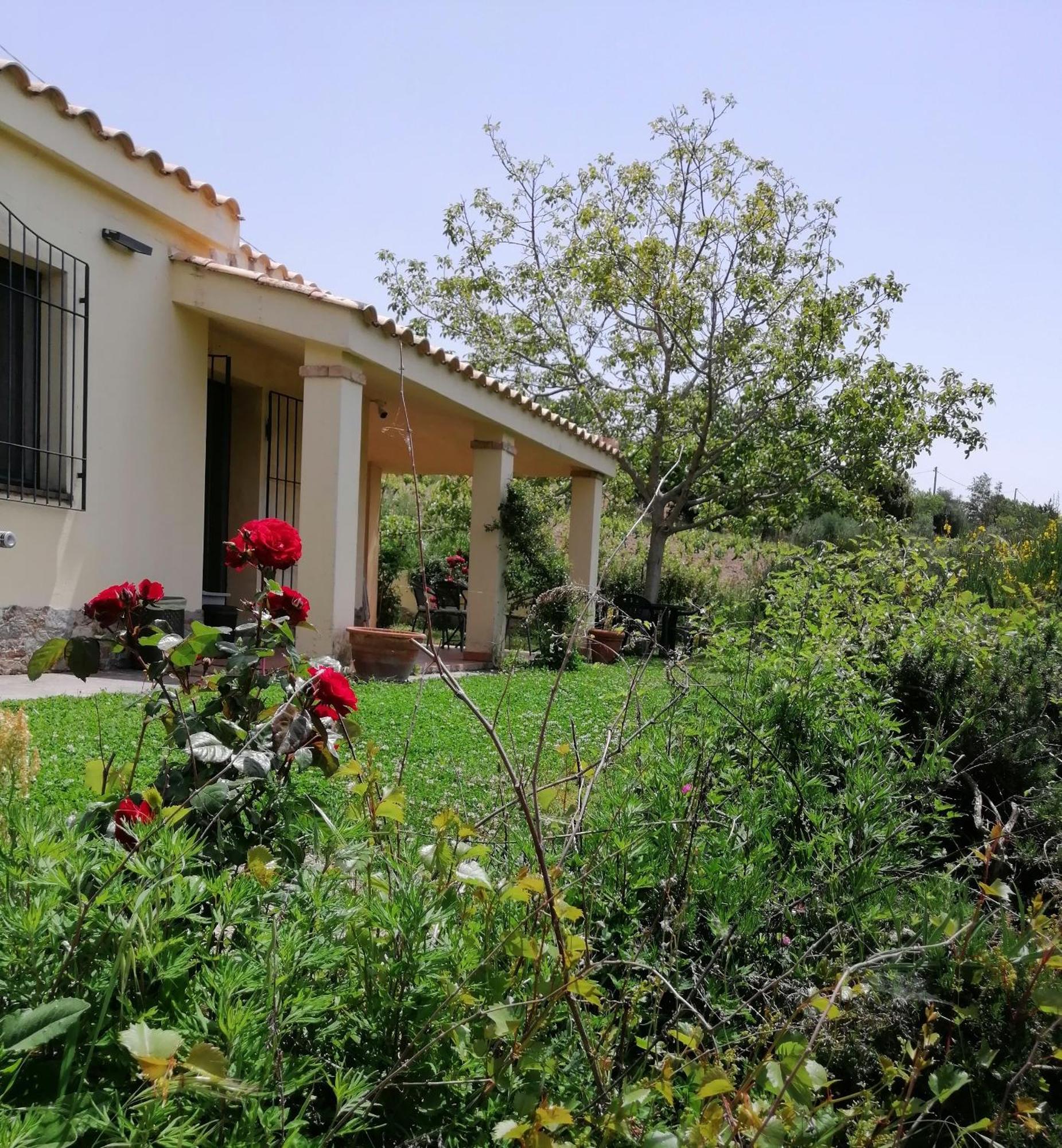 S'Orrosa Casa Vacanze Bifamiliare In Montagna Panorama Stupendo Sardegna Seùlo Extérieur photo