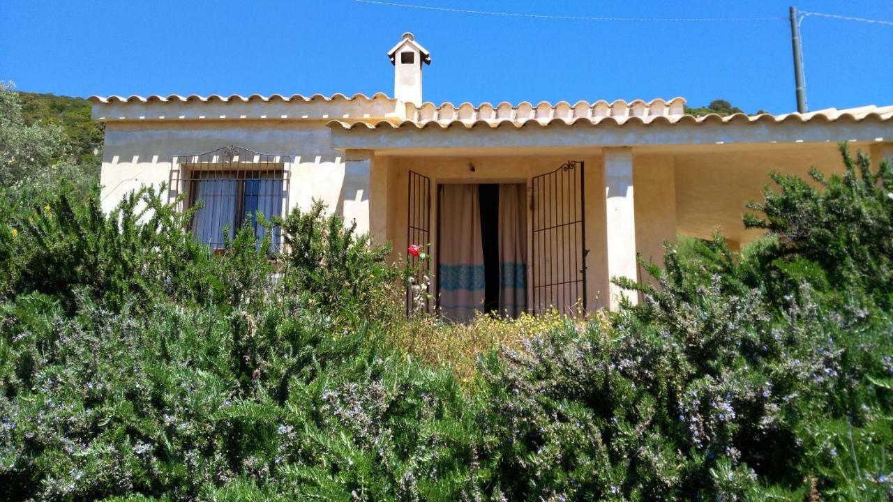 S'Orrosa Casa Vacanze Bifamiliare In Montagna Panorama Stupendo Sardegna Seùlo Extérieur photo