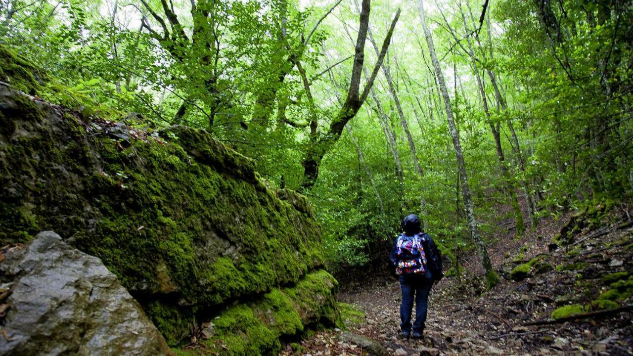 S'Orrosa Casa Vacanze Bifamiliare In Montagna Panorama Stupendo Sardegna Seùlo Extérieur photo