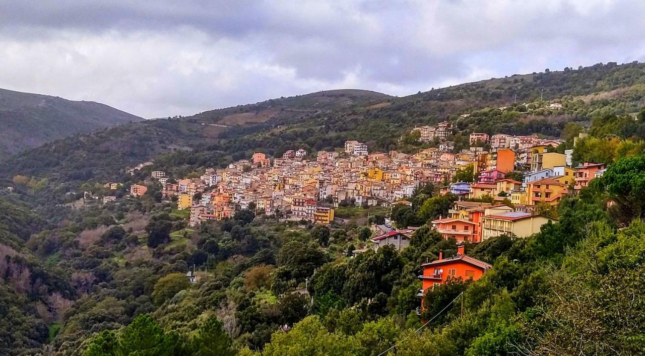 S'Orrosa Casa Vacanze Bifamiliare In Montagna Panorama Stupendo Sardegna Seùlo Extérieur photo