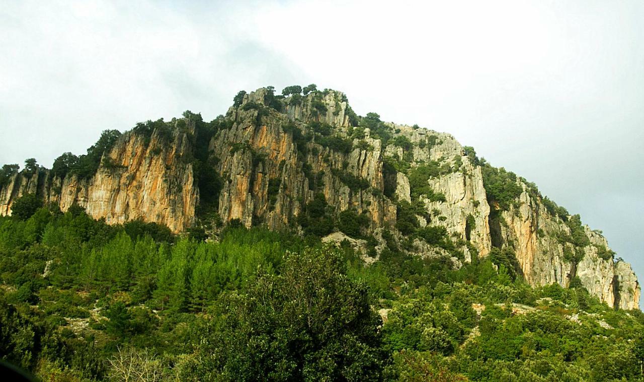 S'Orrosa Casa Vacanze Bifamiliare In Montagna Panorama Stupendo Sardegna Seùlo Extérieur photo
