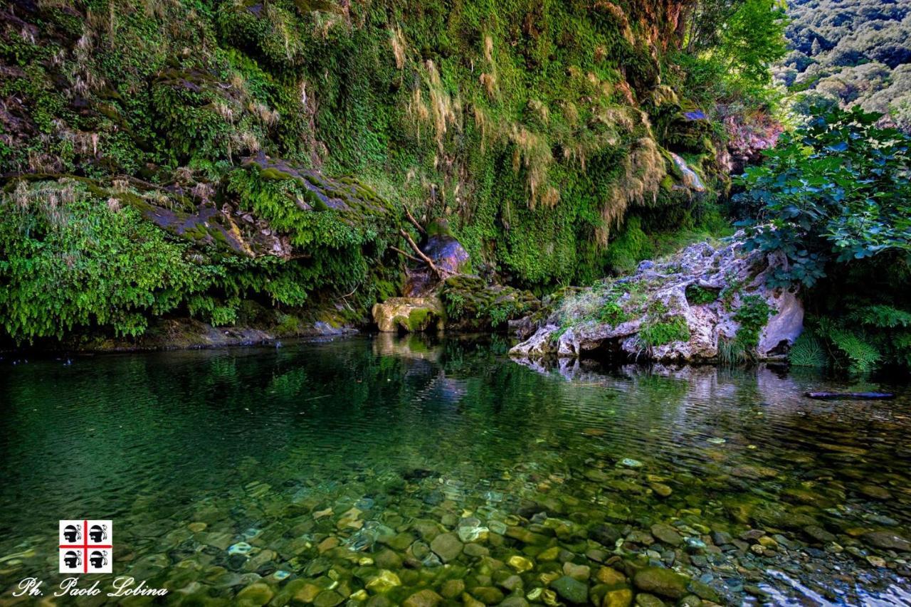 S'Orrosa Casa Vacanze Bifamiliare In Montagna Panorama Stupendo Sardegna Seùlo Extérieur photo